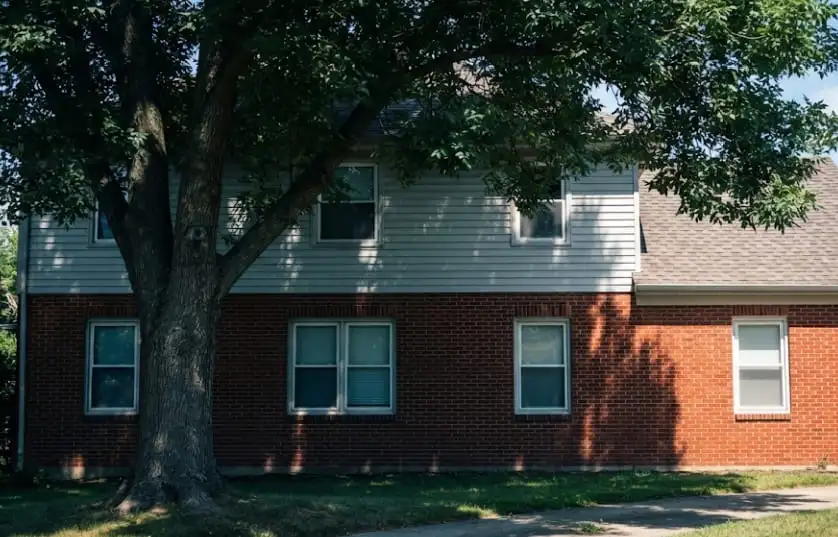 Mature ash tree beside a brick home in an established Brandon, SD neighbourhood