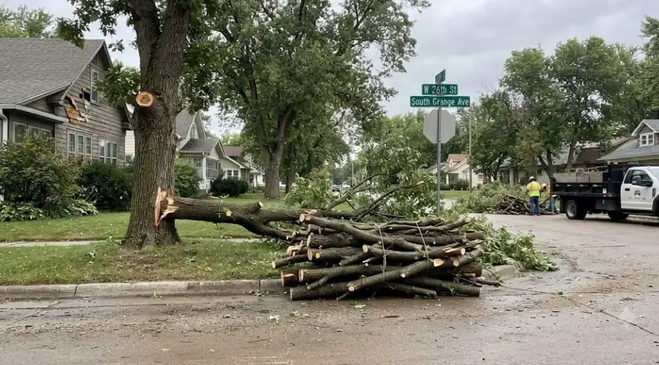Branches stacked at the curb for the Brandon SD branch drop-off site on North Sioux Boulevard